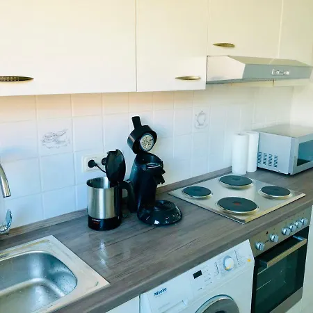 ホームステイ Zv38-mammut-1 *